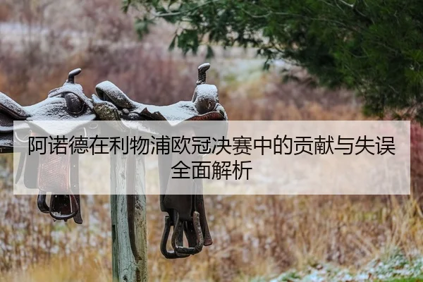 阿诺德在利物浦欧冠决赛中的贡献与失误全面解析